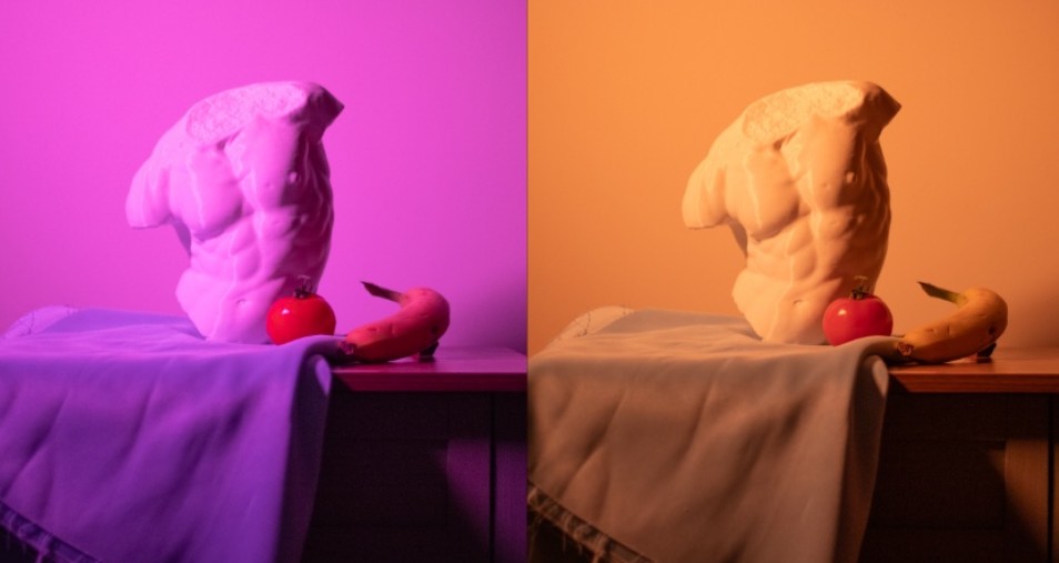 Introduction to Color