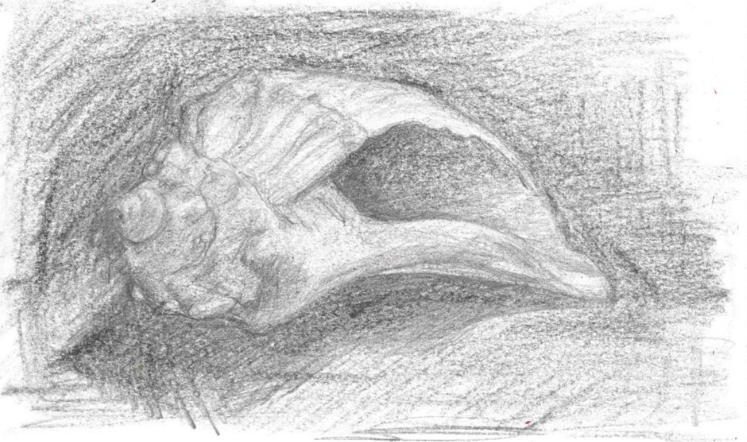Still-Life Drawing for Middle School Artists