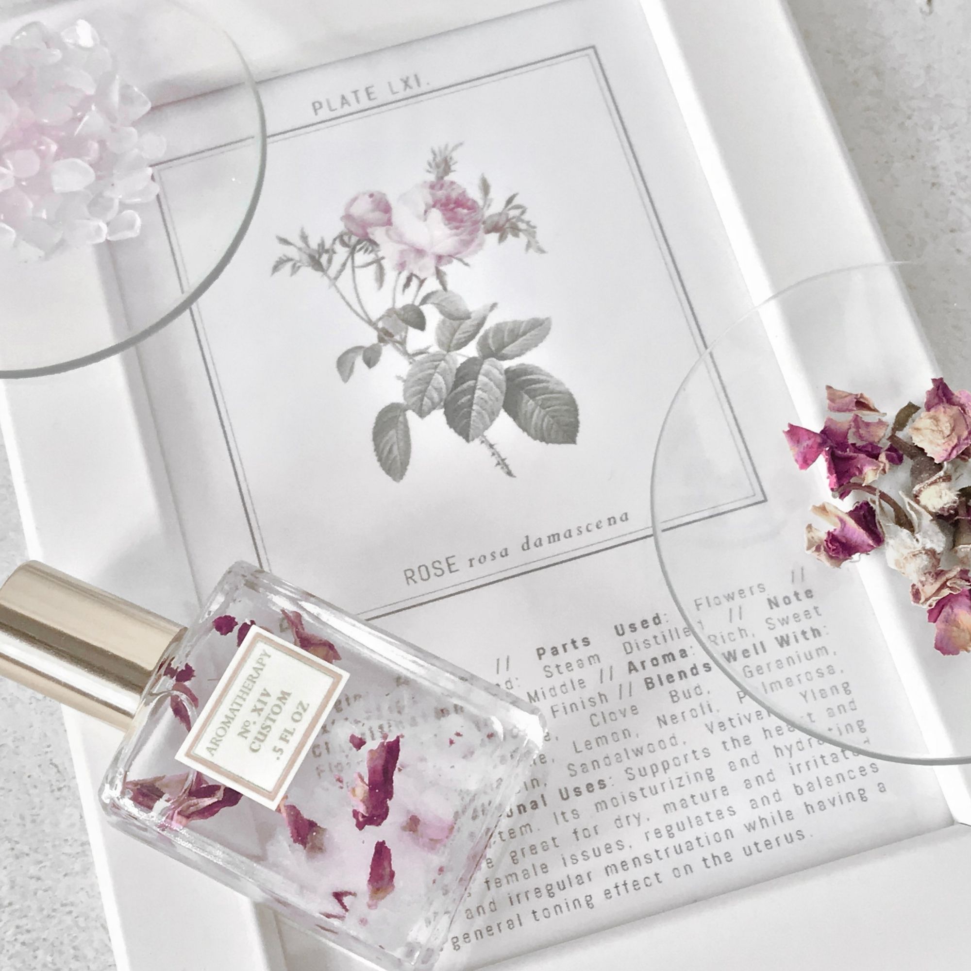 Perfume Masterclass