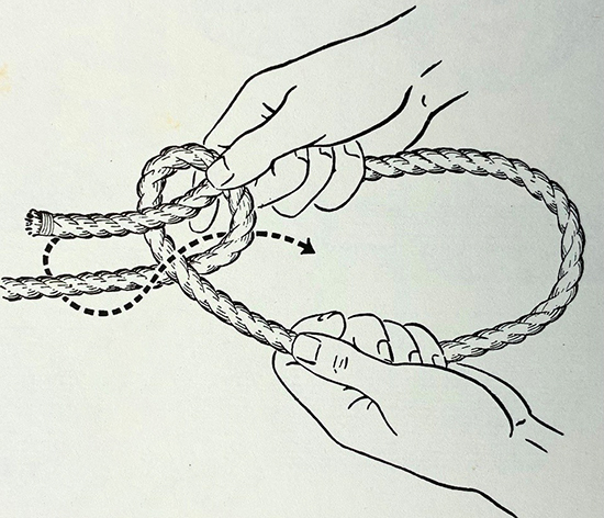 Knots You Need to Know