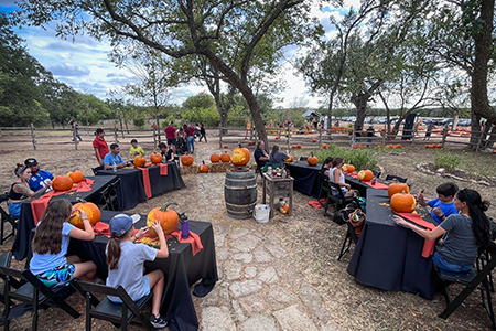 Pumpkin Carving
