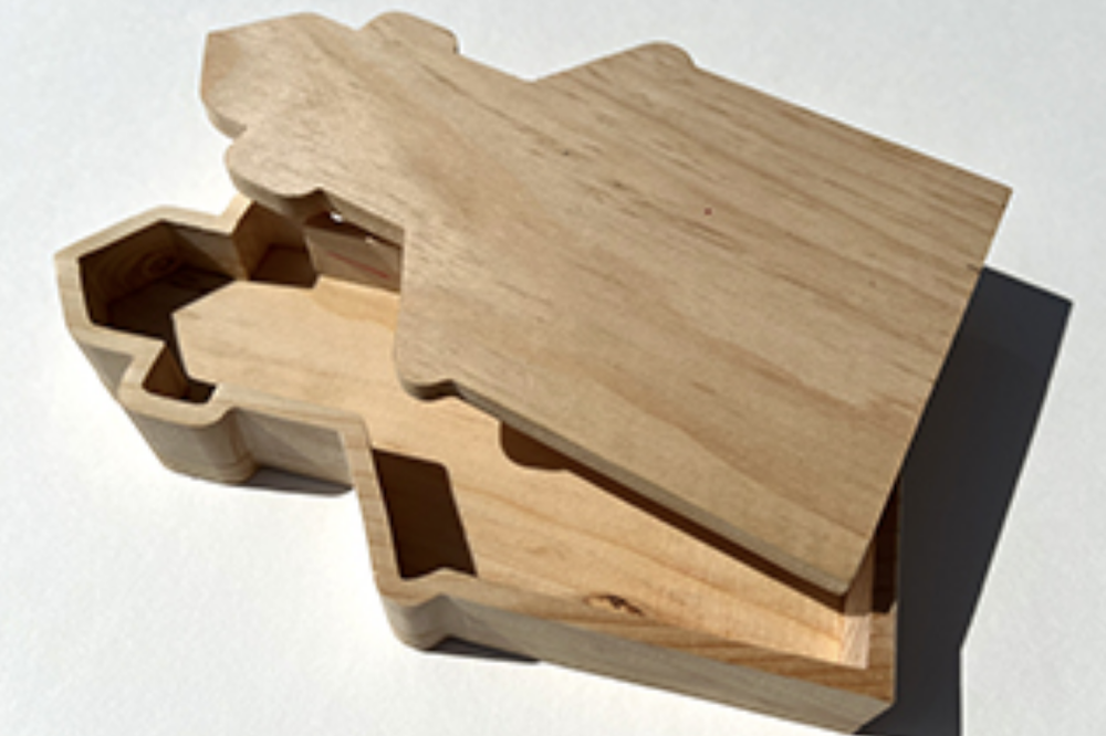 Group/Family Build: Toy Boxes & Shapes