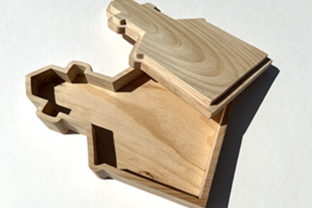 Group/Family Build: Toy Boxes & Shapes