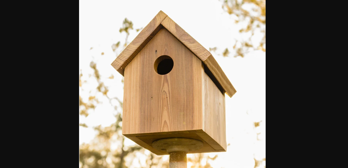 Youth Woodworking Week 1: Build a Tool Box (Ages 12-16)