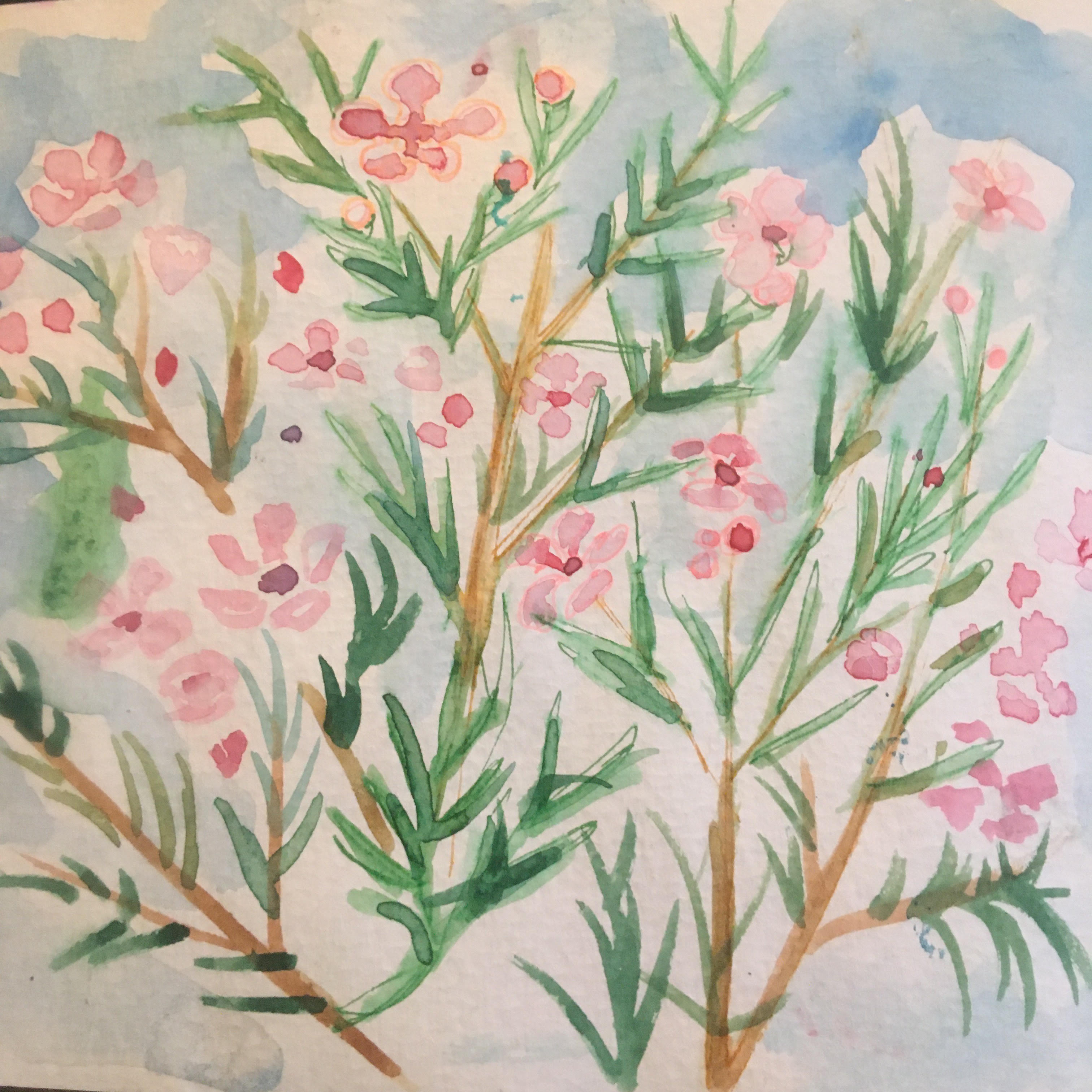 Virtual Watercolor for Kids (Ages 7 - 13)
