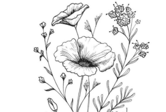 Drawing and Sketching for Beginners
