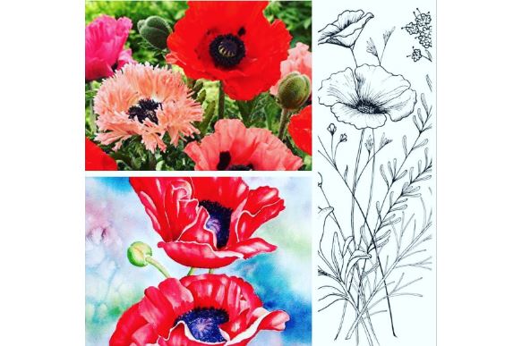 Virtual Realistic Botanical Drawing & Painting