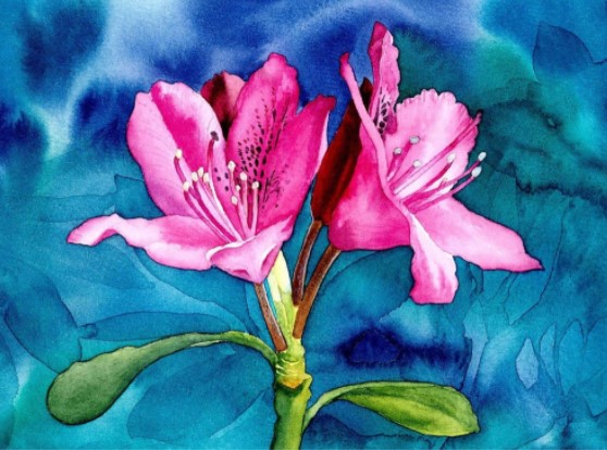 Virtual Intermediate Watercolor Florals