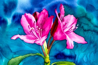 Virtual Intermediate Watercolor Florals