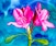 Virtual Intermediate Watercolor Florals