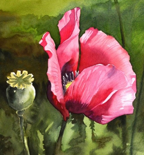 Virtual Intermediate Watercolor Florals