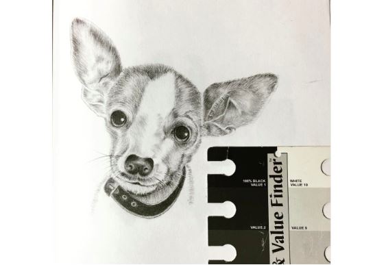 Sketching and Drawing for the Absolute Beginner