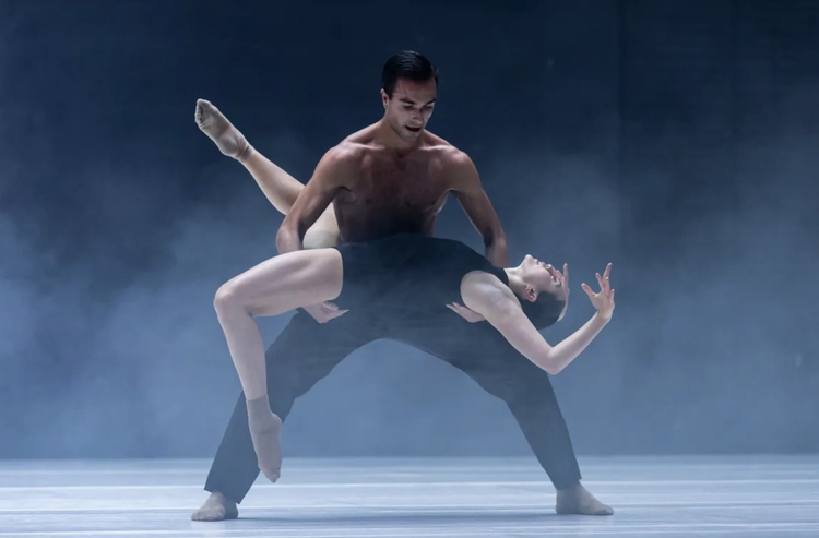 ab [intra] with Sydney Dance Company