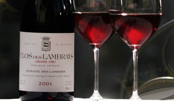 Red Burgundy a Taste of Terroir