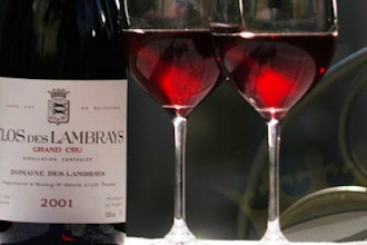 Red Burgundy a Taste of Terroir