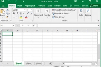 Intro to Excel Sheets