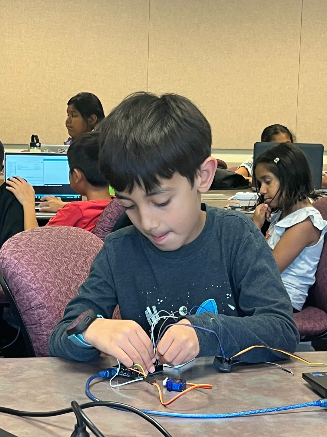 Mini raspberry Circuits (Half Day) (Ages 8-14)