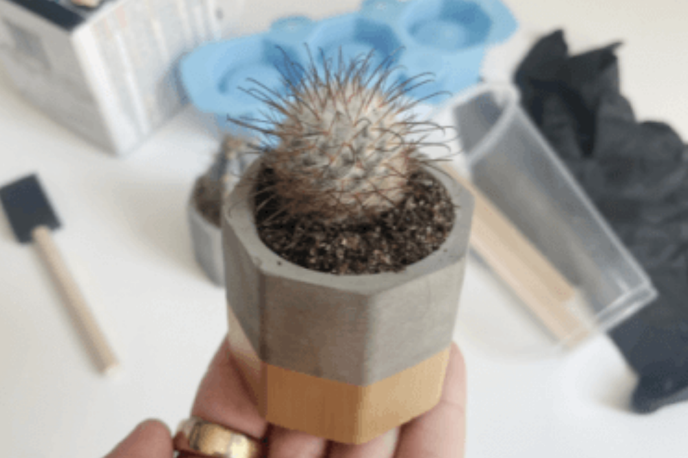 Make Mini Succulent Cement Planters