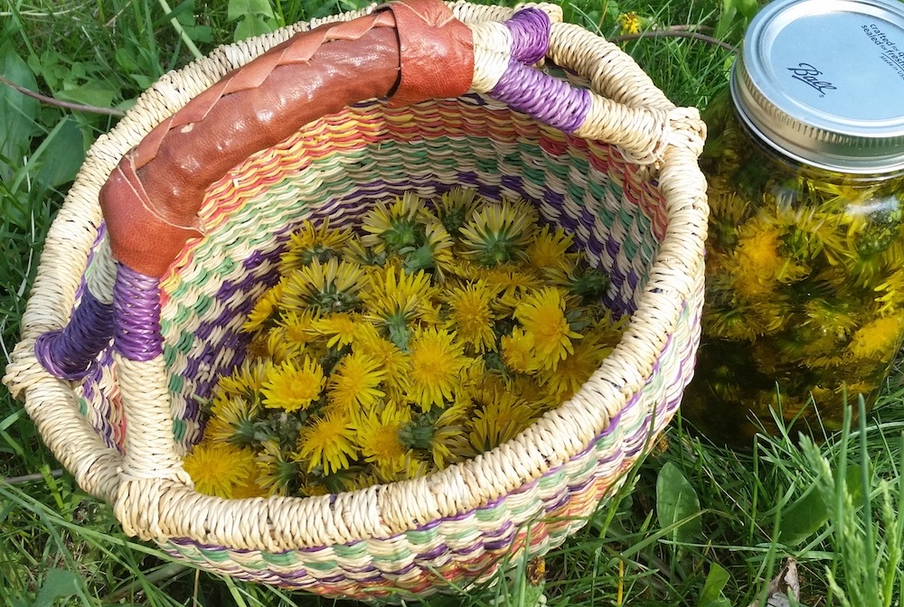The Sacred Heart of Herbalism (Herbal Kit Included)