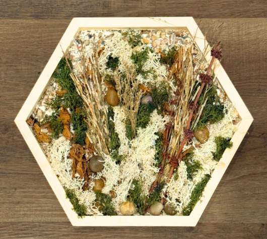 Moss Wall Art Creations