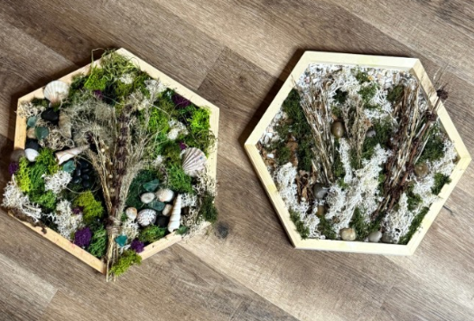 Moss Wall Art Creations