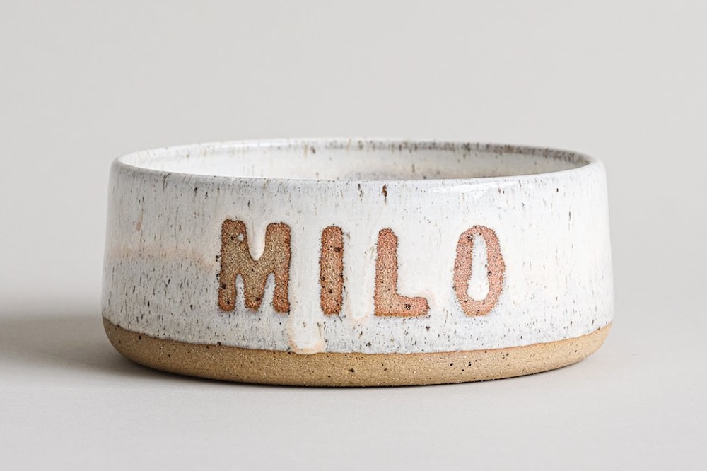 Hand-Building Ceramic Pet Bowls