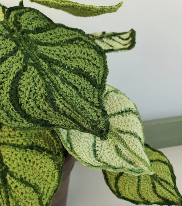 Sip N' Stitch: Crochet Plants