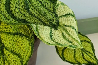 Sip N' Stitch: Crochet Plants