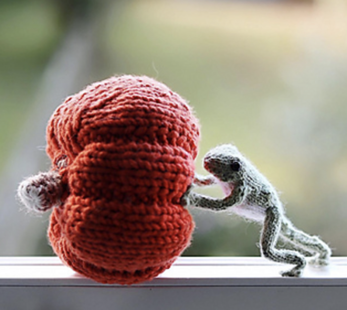 Sip N' Stitch: Knit Pumpkins