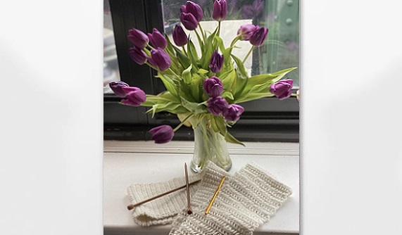 Beginner Knitting