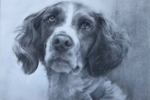 Drawing II (Adults)