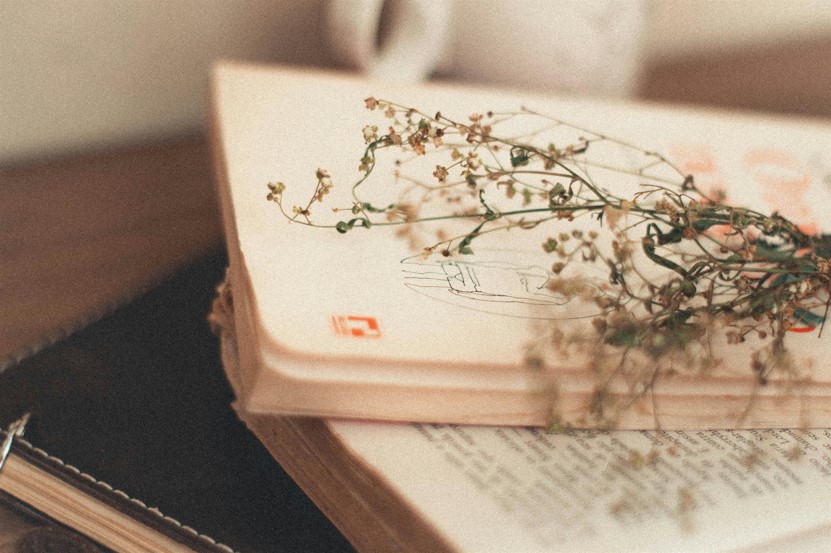 Bookmaking Workshop