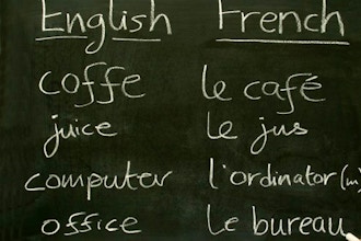 Beginning Conversational French - Combo, Levels 1 & 2