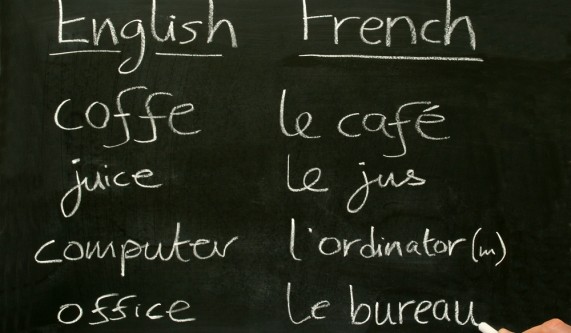 Beginning Conversational French - Level 1