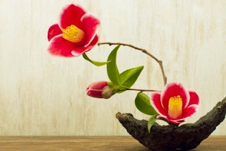 Sogetsu - Ikebana Flower Arranging