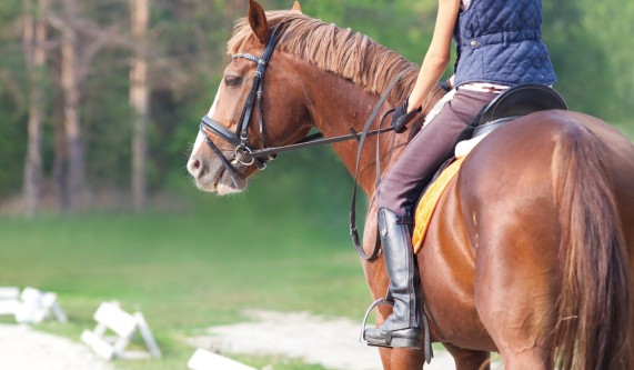 Riding for Beginners