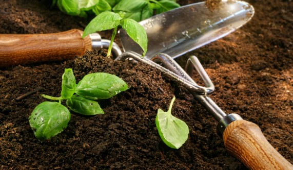 Basic Organic Gardening 101