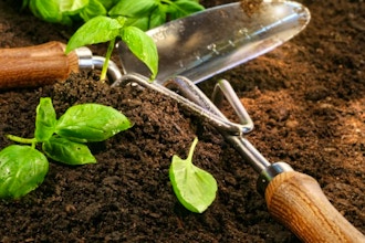 Basic Organic Gardening 101