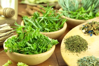Nutritional Value of Popular Herbs