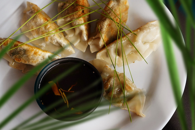 Homemade Dumplings 101