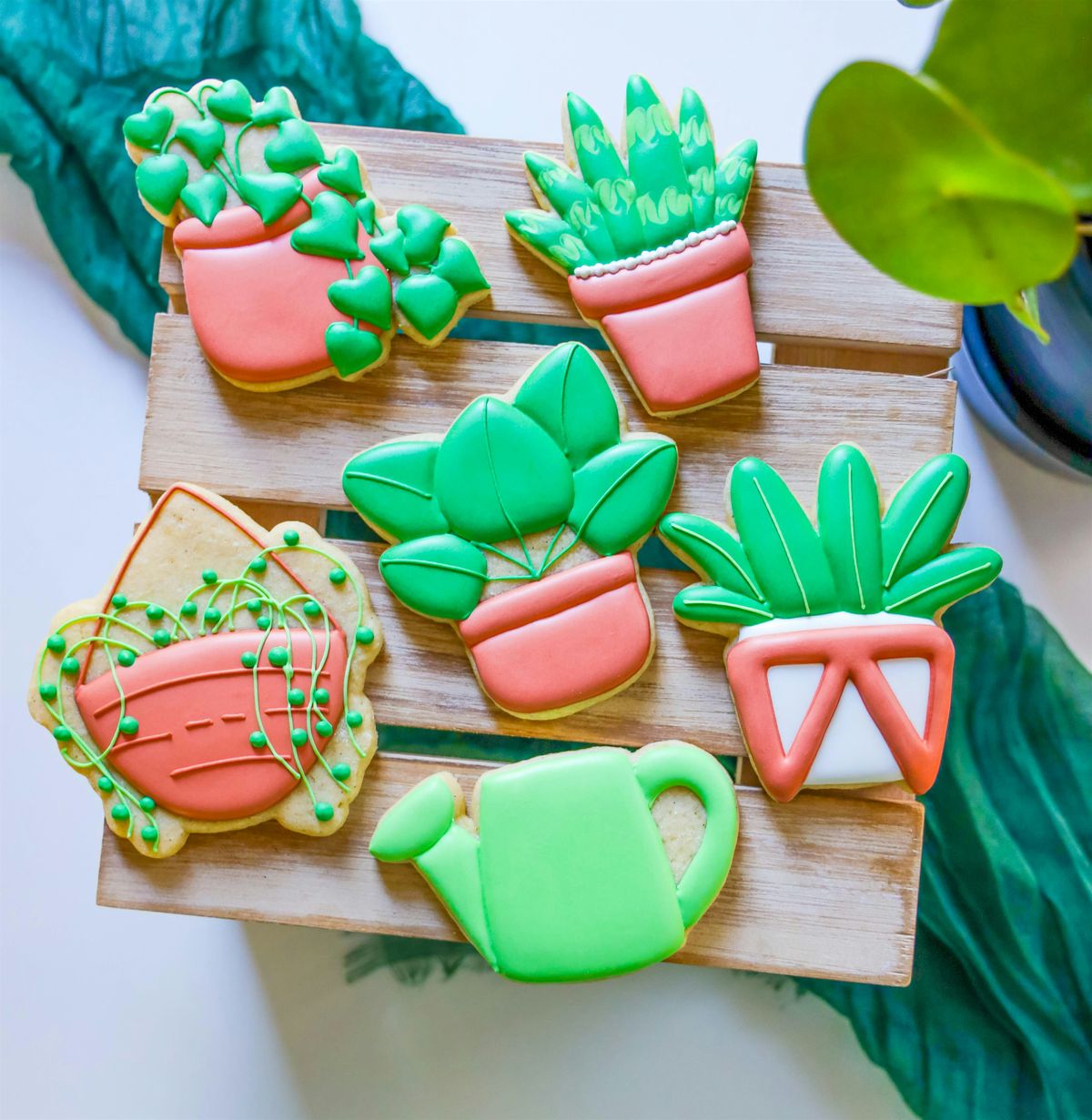 Sugary Shrubs Cookie Decorating