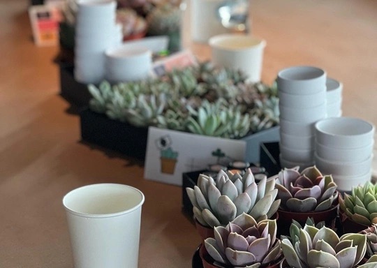 Make & Take Crafting: Succulents and Marbled Pots (Ages 4 and up)