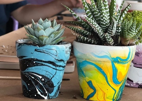 Make & Take Crafting: Succulents and Marbled Pots (Ages 4 and up)