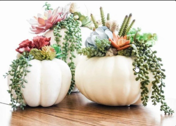 Make & Take Crafting: Fresh Plant + Pumpkin Centerpiece (Ages 5 and up)