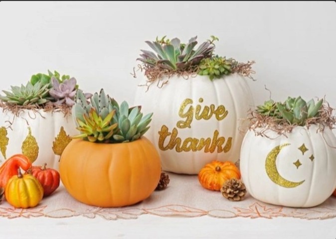 Make & Take Crafting: Fresh Plant + Pumpkin Centerpiece (Ages 5 and up)