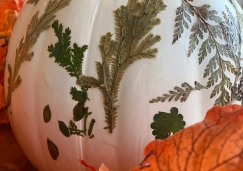 Make & Take Crafting: Boo-tiful No Cut Pumpkin Decorating (Ages 5 & Up)