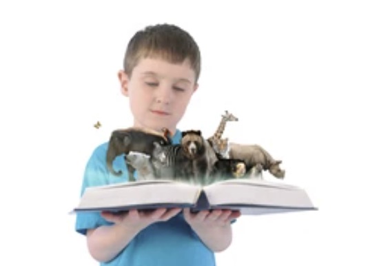 Animals in Time—American History, Geography, & Animals