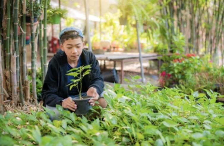 Herbalism for Kids: An Introduction to the Healing Power of Plants