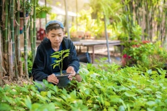 Herbalism for Kids: An Introduction to the Healing Power of Plants