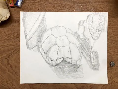 Observational Drawing with Professional Artists